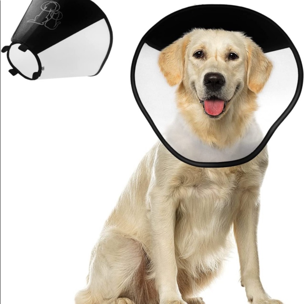 Dog Cone